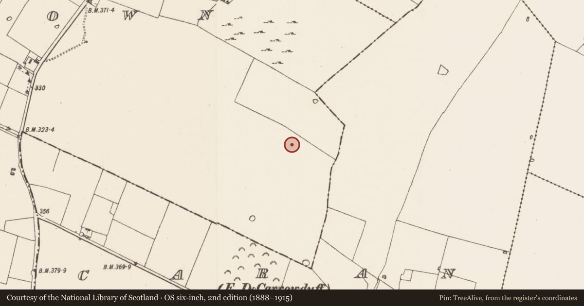 Ordnance Survey six-inch map, 2nd edition (1888–1915) covering the location of Enclosure, Milltown, County Roscommon, with a pin at the register's coordinates