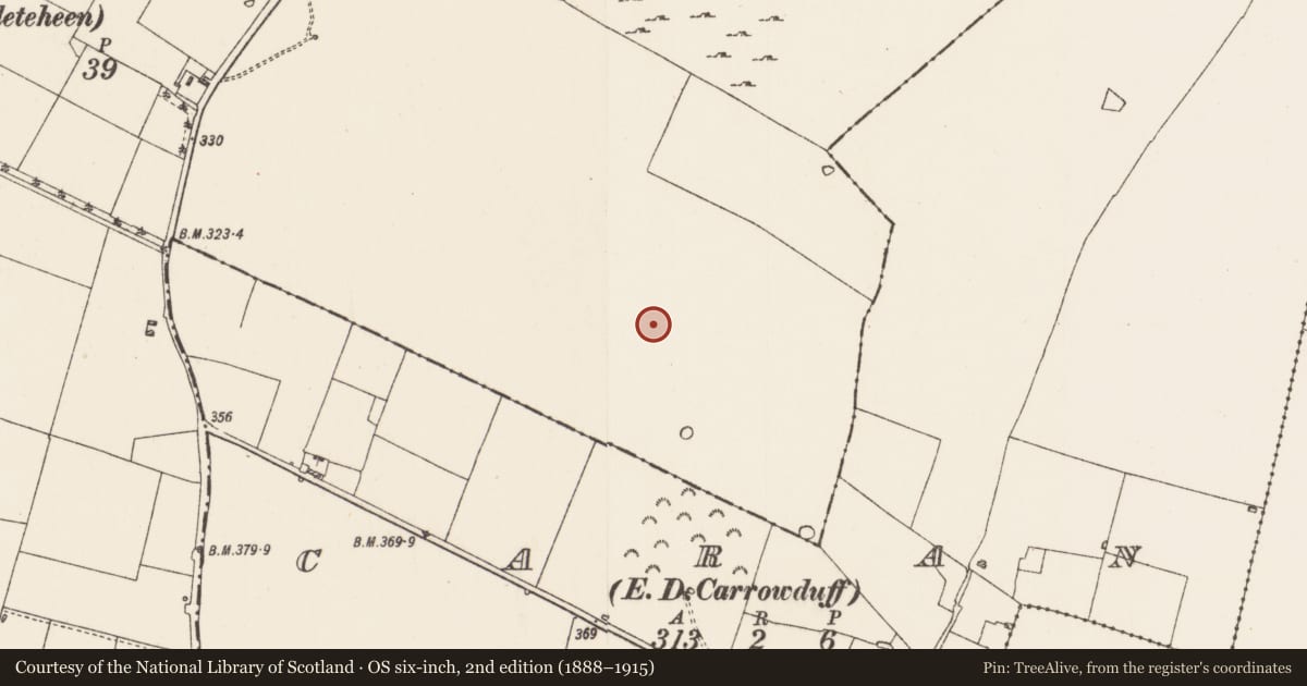 Ordnance Survey six-inch map, 2nd edition (1888–1915) covering the location of Field system, Milltown, County Roscommon, with a pin at the register's coordinates