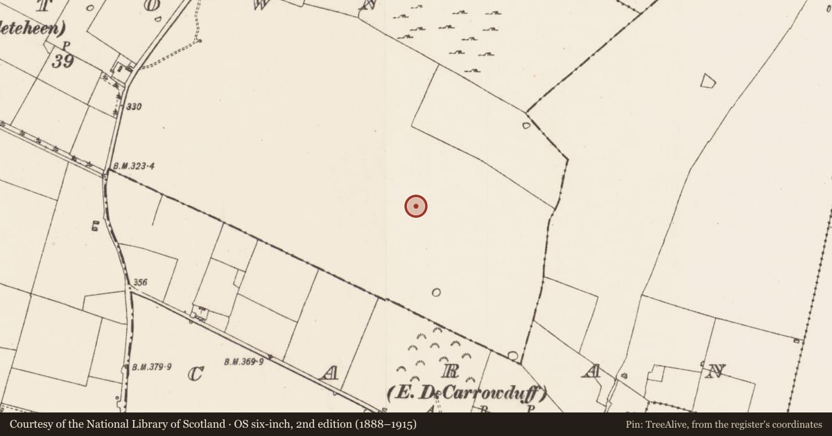 Ordnance Survey six-inch map, 2nd edition (1888–1915) covering the location of Pitfield, Caran, Milltown, County Roscommon, with a pin at the register's coordinates