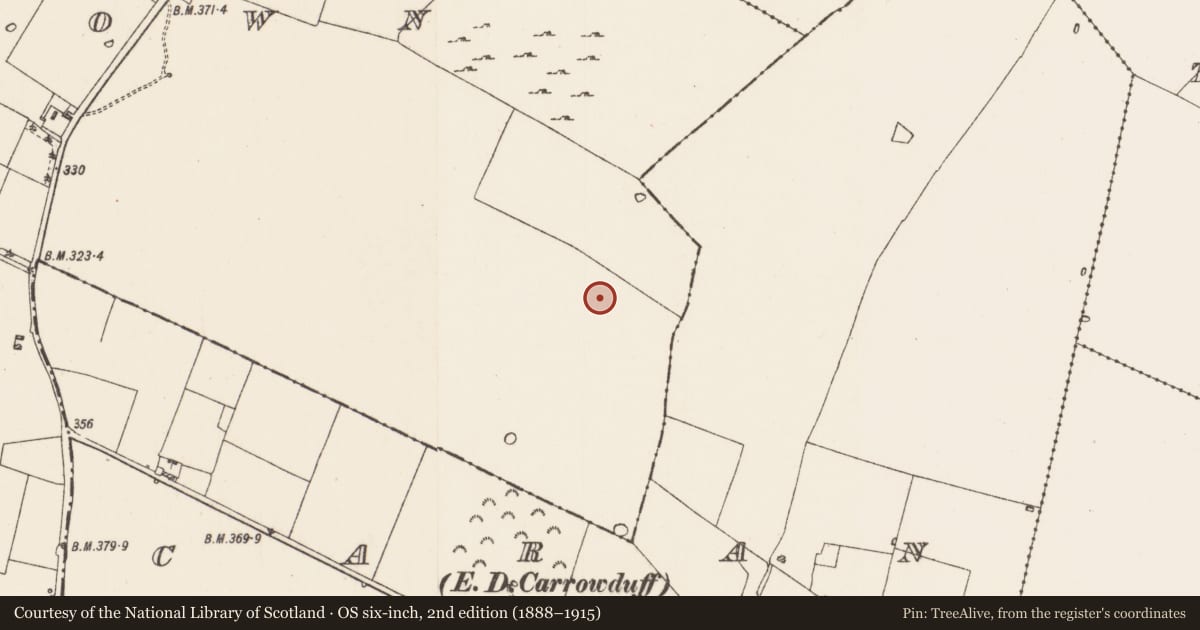 Ordnance Survey six-inch map, 2nd edition (1888–1915) covering the location of House - indeterminate date, Milltown, County Roscommon, with a pin at the register's coordinates