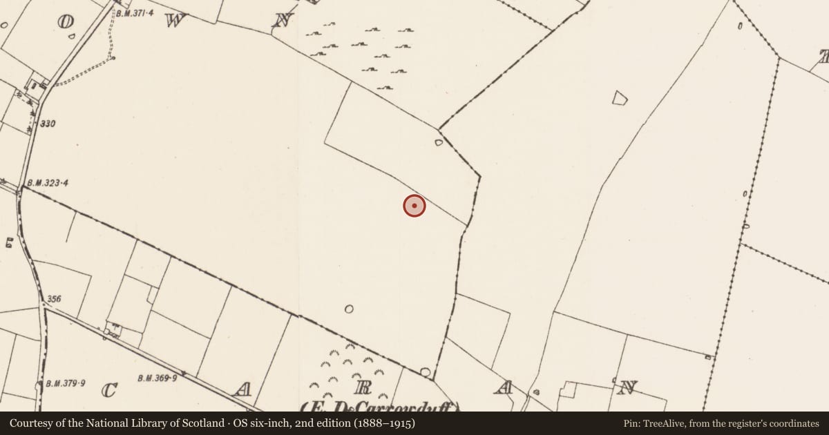 Ordnance Survey six-inch map, 2nd edition (1888–1915) covering the location of Enclosure, Milltown, County Roscommon, with a pin at the register's coordinates