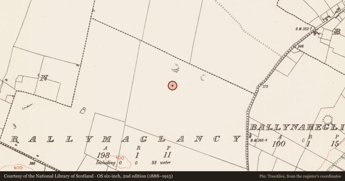 Ordnance Survey six-inch map, 2nd edition (1888–1915) covering the location of Field system, Ballymaglancy, County Roscommon, with a pin at the register's coordinates