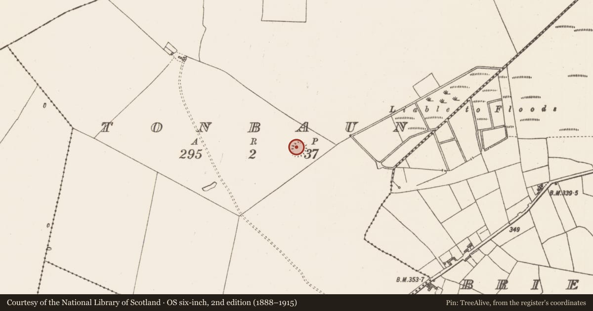 Ordnance Survey six-inch map, 2nd edition (1888–1915) covering the location of Ringfort - rath, Tonbaun, County Roscommon, with a pin at the register's coordinates