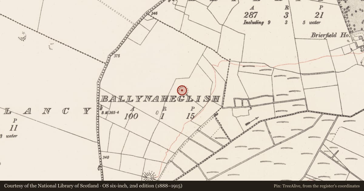 Ordnance Survey six-inch map, 2nd edition (1888–1915) covering the location of Ringfort - rath, Ballynaheglish, County Roscommon, with a pin at the register's coordinates