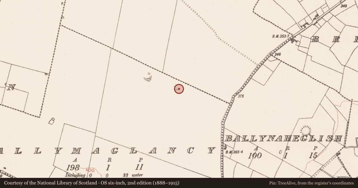 Ordnance Survey six-inch map, 2nd edition (1888–1915) covering the location of Enclosure, Ballymaglancy, County Roscommon, with a pin at the register's coordinates