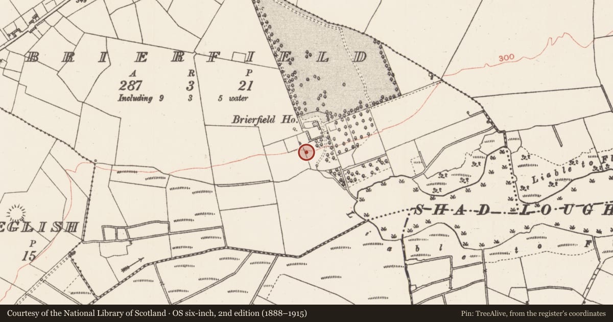 Ordnance Survey six-inch map, 2nd edition (1888–1915) covering the location of Kiln, Brierfield, County Roscommon, with a pin at the register's coordinates