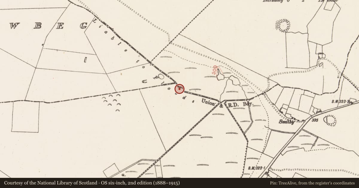 Ordnance Survey six-inch map, 2nd edition (1888–1915) covering the location of Crannog, Tonbaun, County Roscommon, with a pin at the register's coordinates