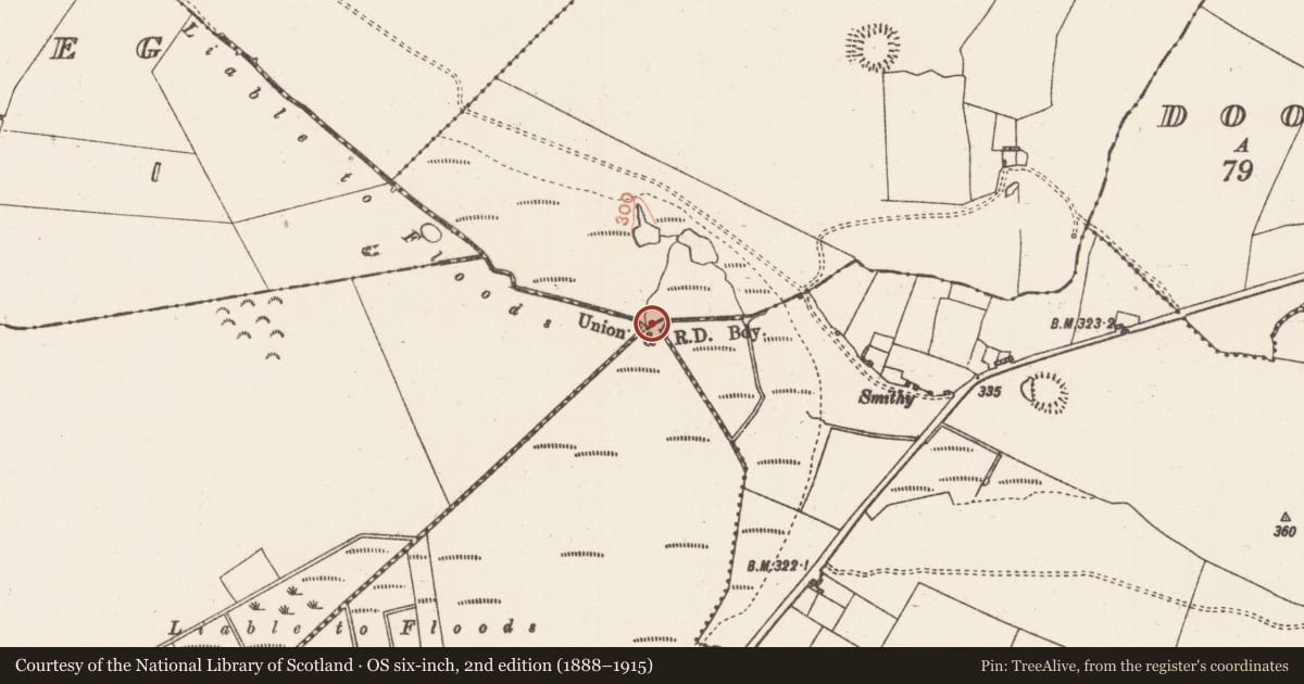 Ordnance Survey six-inch map, 2nd edition (1888–1915) covering the location of Crannog, County Roscommon, with a pin at the register's coordinates