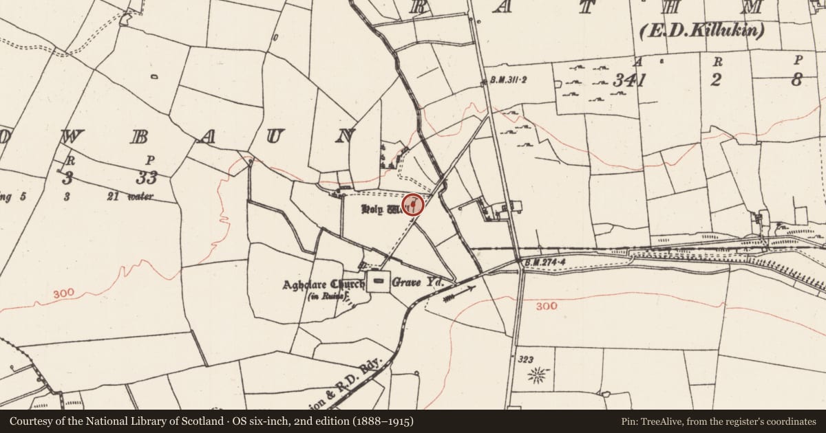 Ordnance Survey six-inch map, 2nd edition (1888–1915) covering the location of Ritual site - holy well, Carrowbaun, County Roscommon, with a pin at the register's coordinates