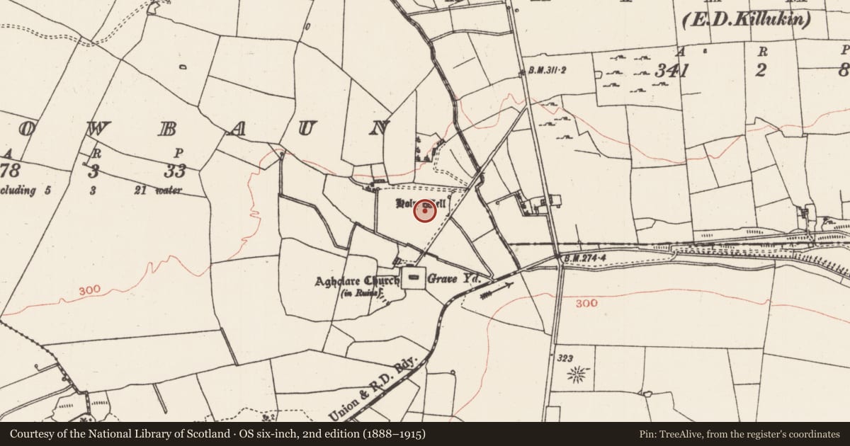 Ordnance Survey six-inch map, 2nd edition (1888–1915) covering the location of Fulacht fia, Carrowbaun, County Roscommon, with a pin at the register's coordinates