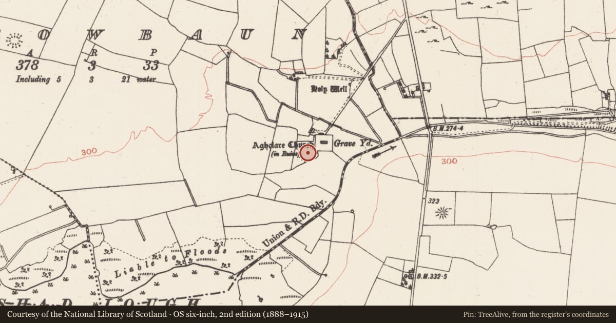 Ordnance Survey six-inch map, 2nd edition (1888–1915) covering the location of Ringfort - rath, Carrowbaun, County Roscommon, with a pin at the register's coordinates