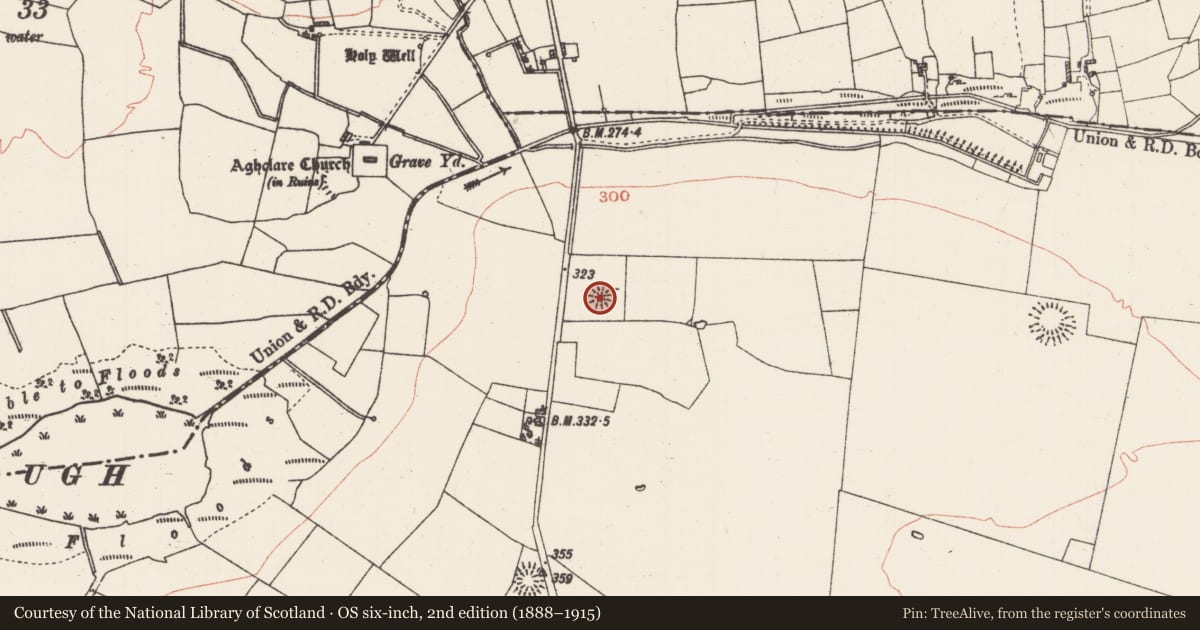 Ordnance Survey six-inch map, 2nd edition (1888–1915) covering the location of Barrow - ring-barrow, Grange, County Roscommon, with a pin at the register's coordinates