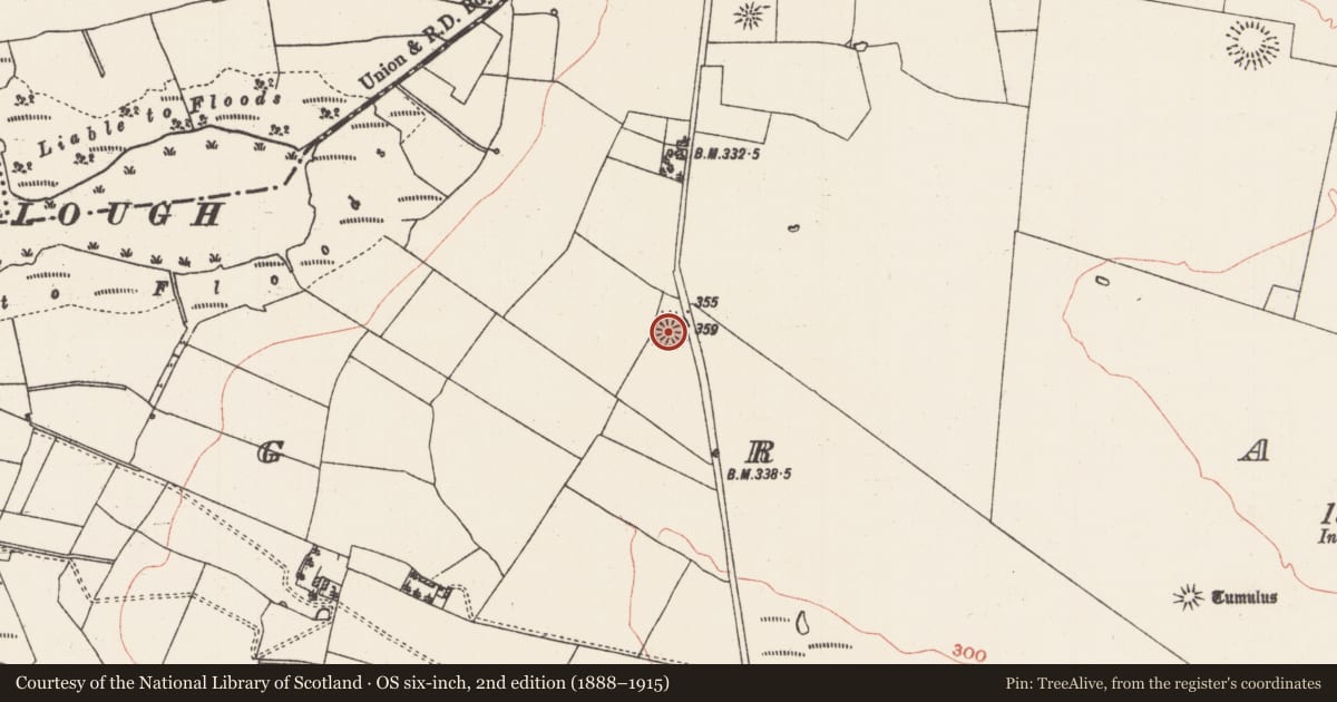 Ordnance Survey six-inch map, 2nd edition (1888–1915) covering the location of Ringfort - rath, Grange, County Roscommon, with a pin at the register's coordinates