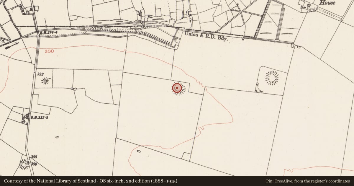 Ordnance Survey six-inch map, 2nd edition (1888–1915) covering the location of Ringfort - rath, Grange, County Roscommon, with a pin at the register's coordinates