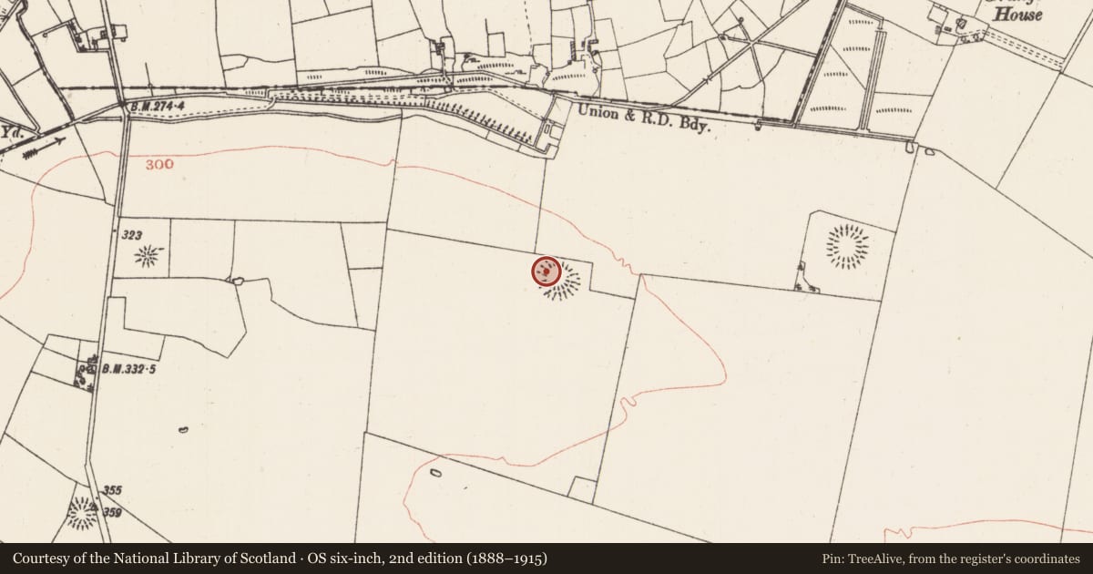 Ordnance Survey six-inch map, 2nd edition (1888–1915) covering the location of Souterrain, Grange, County Roscommon, with a pin at the register's coordinates