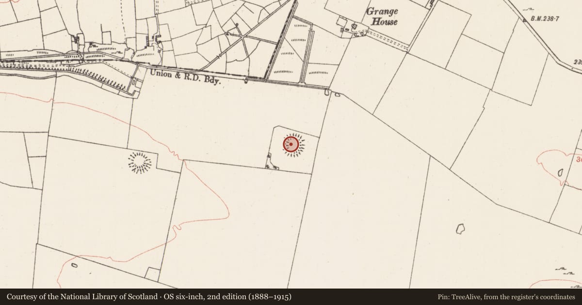 Ordnance Survey six-inch map, 2nd edition (1888–1915) covering the location of Ringfort - rath, Grange, County Roscommon, with a pin at the register's coordinates