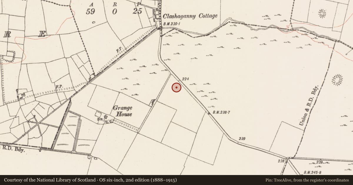 Ordnance Survey six-inch map, 2nd edition (1888–1915) covering the location of Ringfort - rath, Grange, County Roscommon, with a pin at the register's coordinates