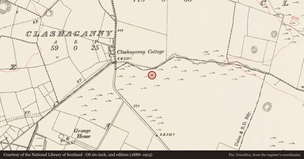 Ordnance Survey six-inch map, 2nd edition (1888–1915) covering the location of House - indeterminate date, Grange, County Roscommon, with a pin at the register's coordinates