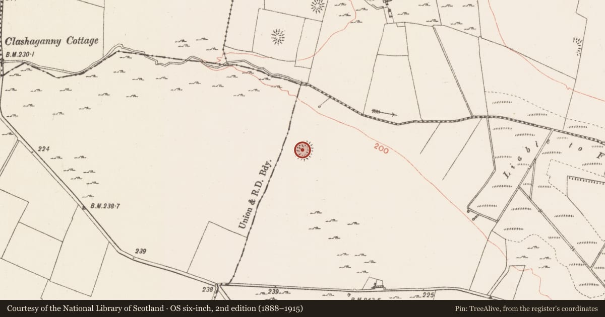 Ordnance Survey six-inch map, 2nd edition (1888–1915) covering the location of Ringfort - rath, Ballyglass, County Roscommon, with a pin at the register's coordinates