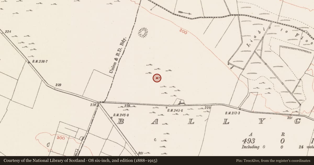 Ordnance Survey six-inch map, 2nd edition (1888–1915) covering the location of Ringfort - rath, Ballyglass, County Roscommon, with a pin at the register's coordinates