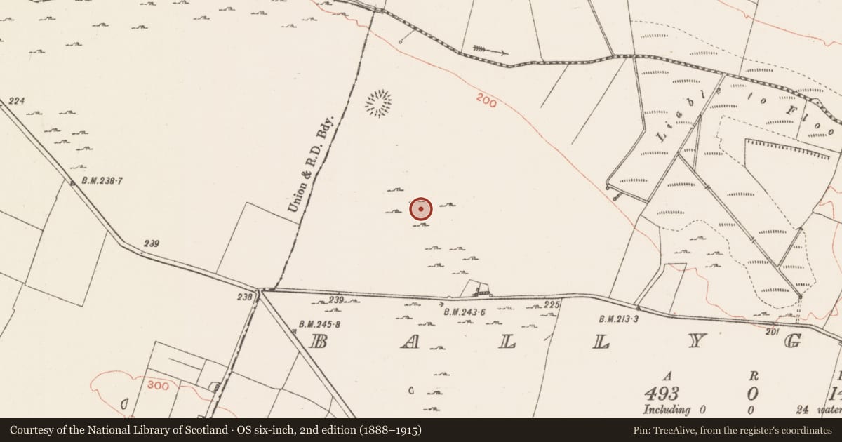 Ordnance Survey six-inch map, 2nd edition (1888–1915) covering the location of Enclosure, Ballyglass, County Roscommon, with a pin at the register's coordinates