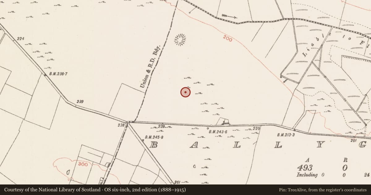 Ordnance Survey six-inch map, 2nd edition (1888–1915) covering the location of Road - road/trackway, Ballyglass, County Roscommon, with a pin at the register's coordinates