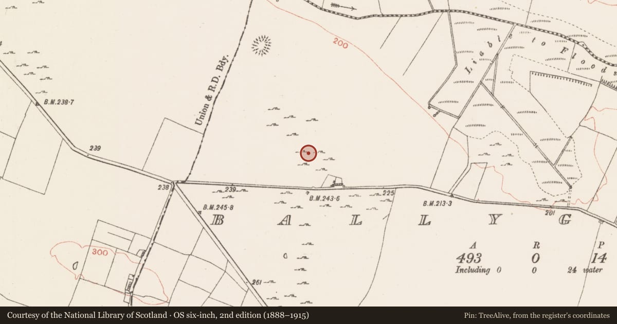 Ordnance Survey six-inch map, 2nd edition (1888–1915) covering the location of Ringfort - cashel, Ballyglass, County Roscommon, with a pin at the register's coordinates