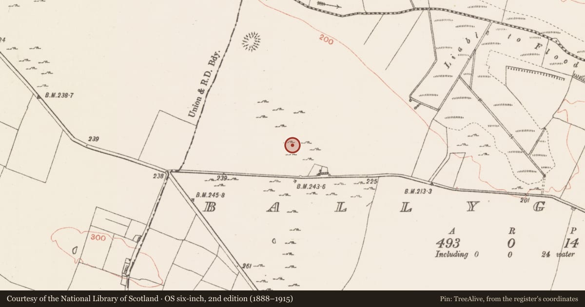Ordnance Survey six-inch map, 2nd edition (1888–1915) covering the location of House - indeterminate date, Ballyglass, County Roscommon, with a pin at the register's coordinates