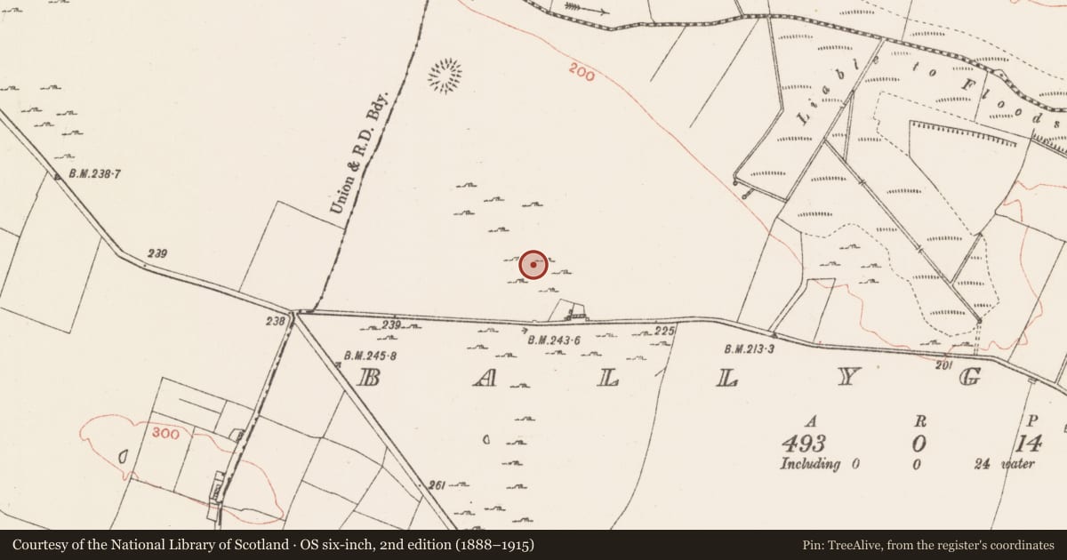 Ordnance Survey six-inch map, 2nd edition (1888–1915) covering the location of House - indeterminate date, Ballyglass, County Roscommon, with a pin at the register's coordinates