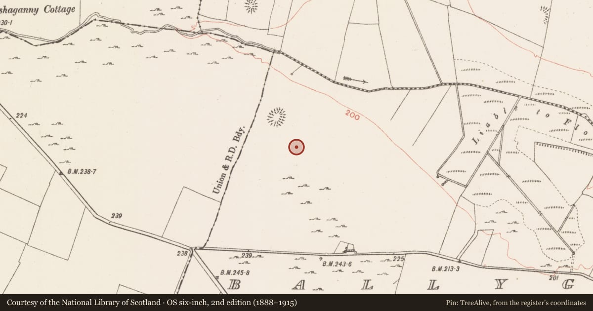 Ordnance Survey six-inch map, 2nd edition (1888–1915) covering the location of Field system, Ballyglass, County Roscommon, with a pin at the register's coordinates