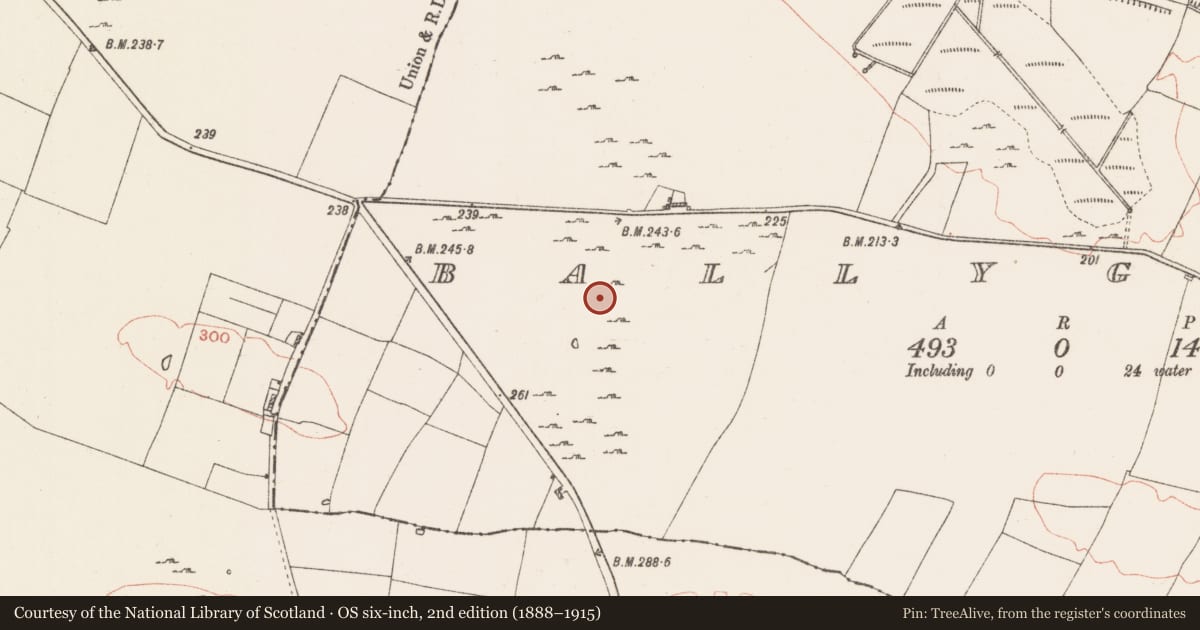Ordnance Survey six-inch map, 2nd edition (1888–1915) covering the location of House - indeterminate date, Ballyglass, County Roscommon, with a pin at the register's coordinates