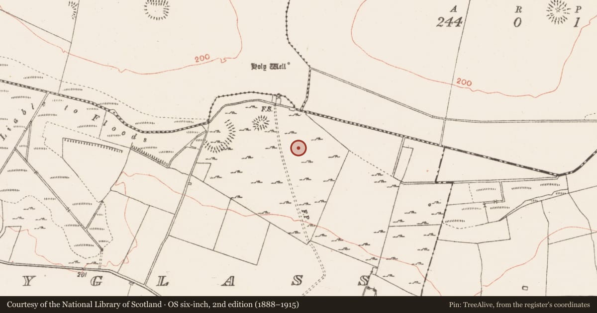 Ordnance Survey six-inch map, 2nd edition (1888–1915) covering the location of Field system, Ballyglass, County Roscommon, with a pin at the register's coordinates