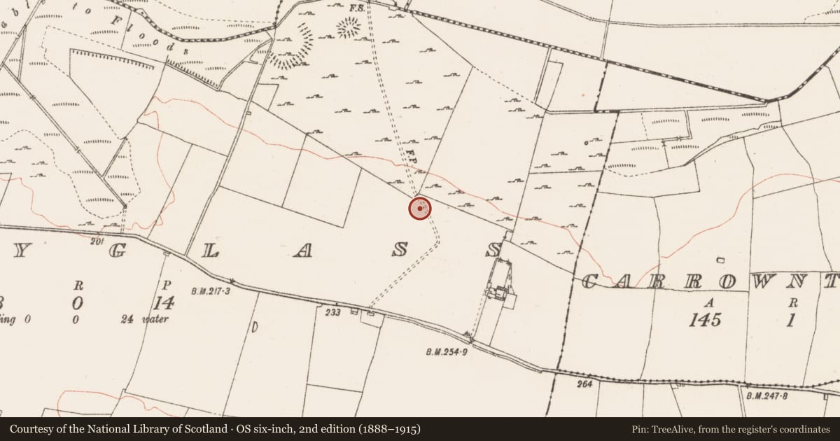 Ordnance Survey six-inch map, 2nd edition (1888–1915) covering the location of Cist, Ballyglass, County Roscommon, with a pin at the register's coordinates