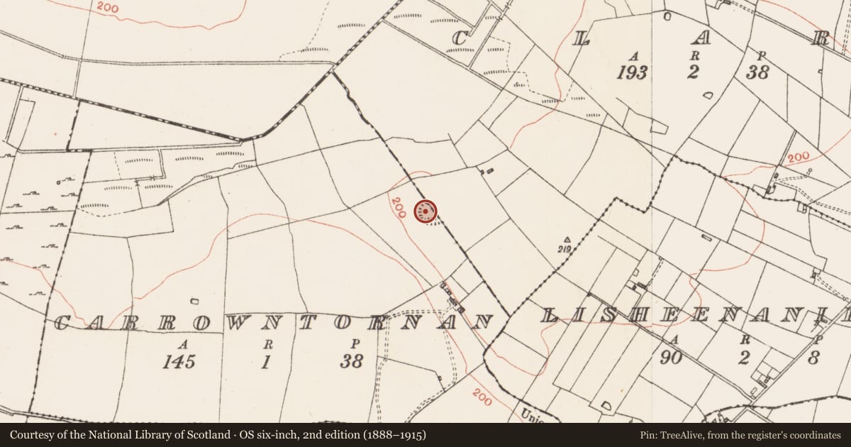 Ordnance Survey six-inch map, 2nd edition (1888–1915) covering the location of Ringfort - rath, Carrowntornan, Clare, County Roscommon, with a pin at the register's coordinates