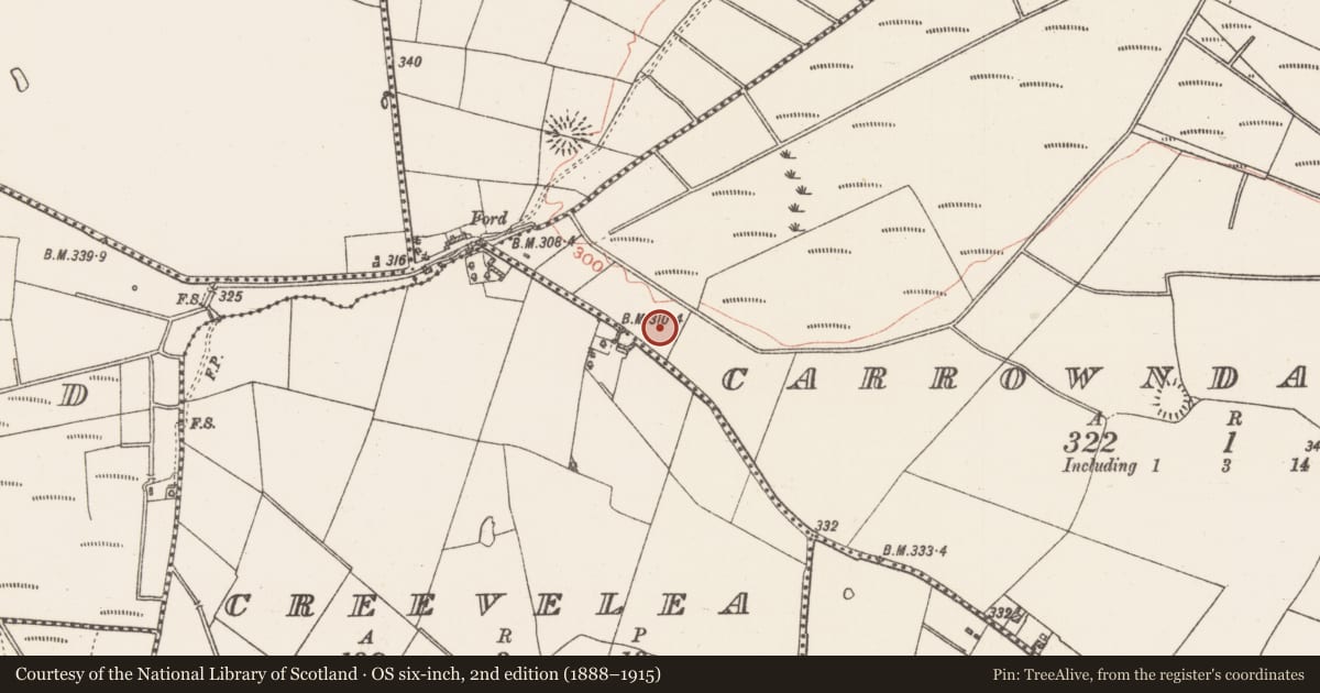 Ordnance Survey six-inch map, 2nd edition (1888–1915) covering the location of Ringfort - rath, Carrowndangan, County Roscommon, with a pin at the register's coordinates