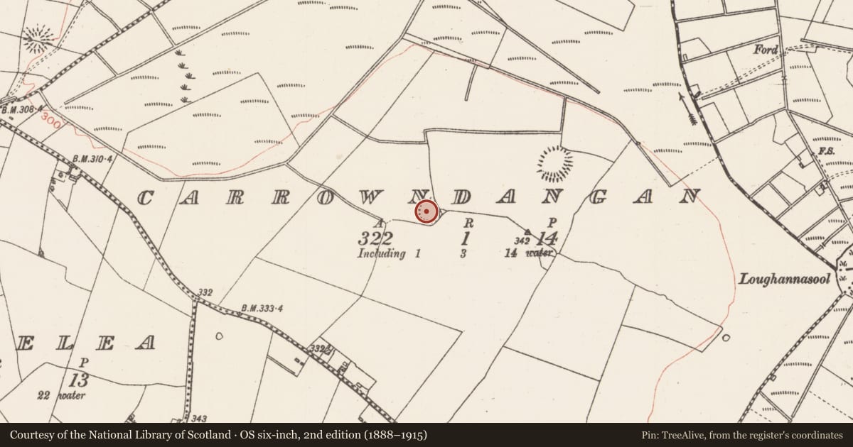 Ordnance Survey six-inch map, 2nd edition (1888–1915) covering the location of Ringfort - rath, Carrowndangan, County Roscommon, with a pin at the register's coordinates
