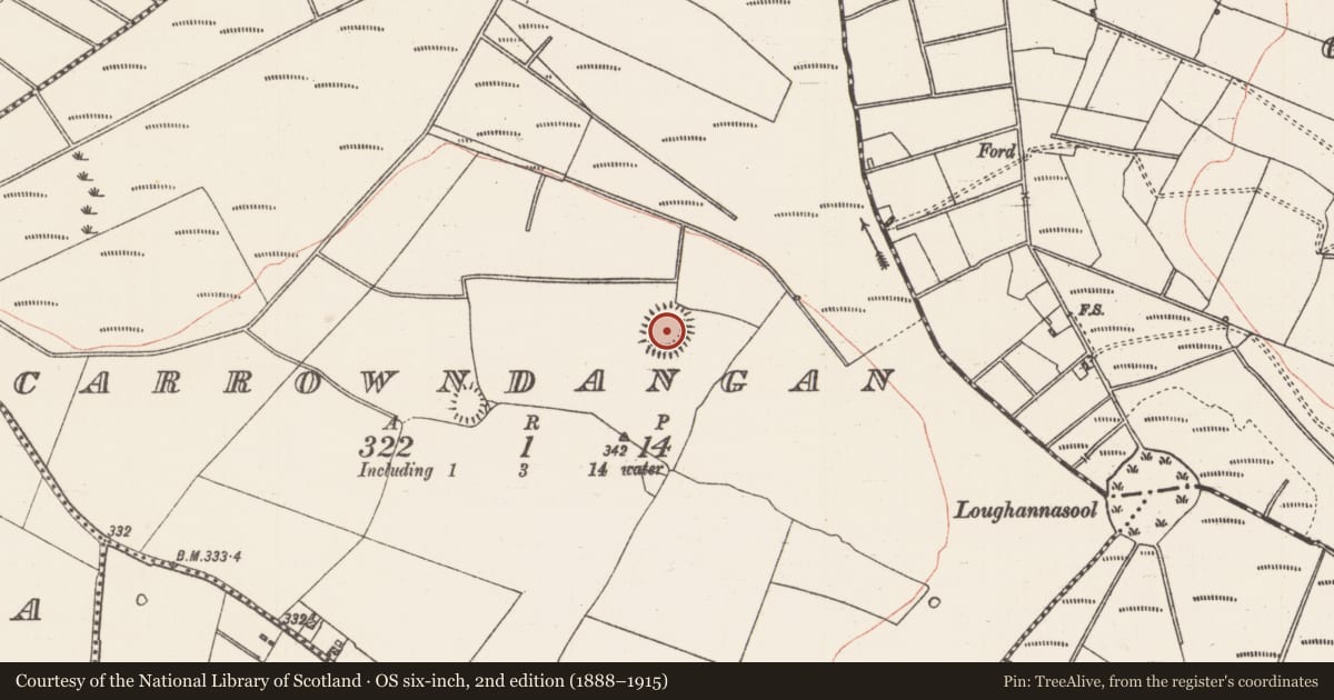 Ordnance Survey six-inch map, 2nd edition (1888–1915) covering the location of Ringfort - rath, Carrowndangan, County Roscommon, with a pin at the register's coordinates
