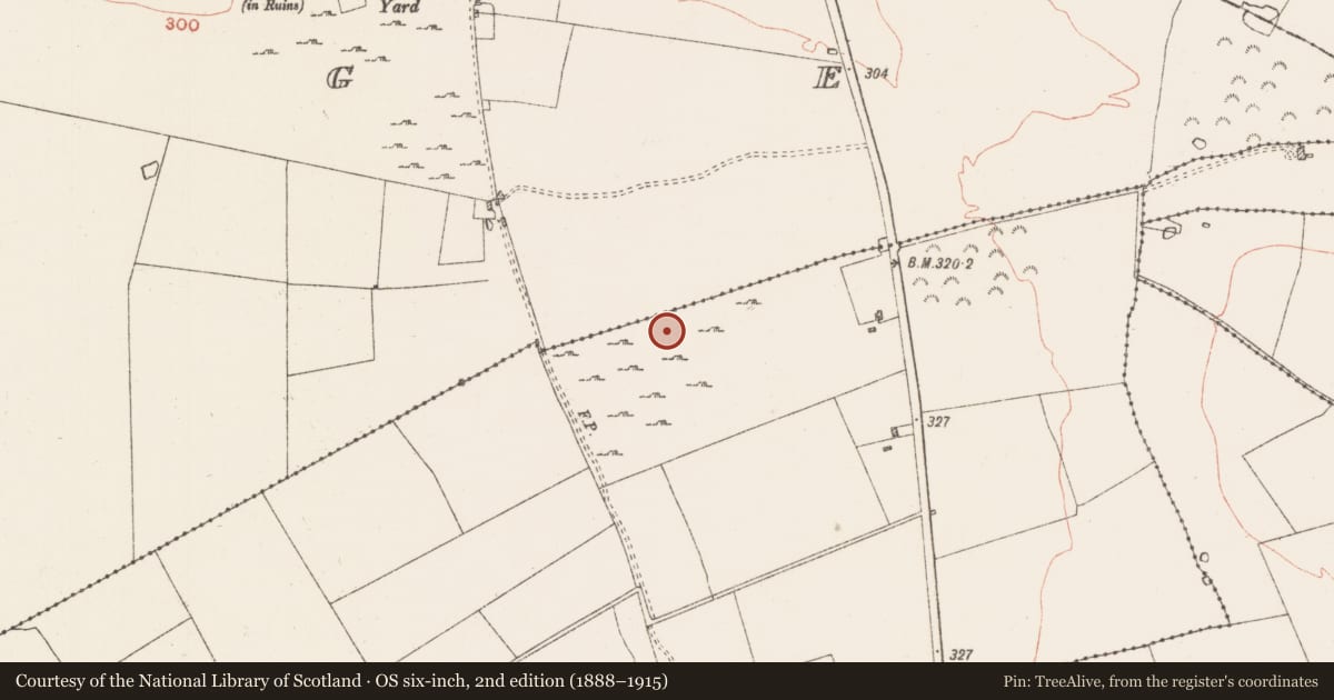 Ordnance Survey six-inch map, 2nd edition (1888–1915) covering the location of Ringfort - cashel, Casheltauna, County Roscommon, with a pin at the register's coordinates
