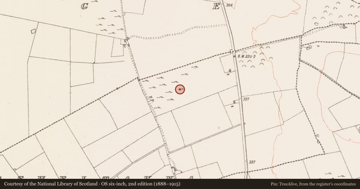 Ordnance Survey six-inch map, 2nd edition (1888–1915) covering the location of Field system, Casheltauna, County Roscommon, with a pin at the register's coordinates