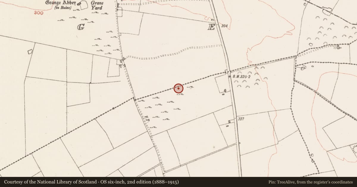 Ordnance Survey six-inch map, 2nd edition (1888–1915) covering the location of Road - road/trackway, Casheltauna, Grange, County Roscommon, with a pin at the register's coordinates
