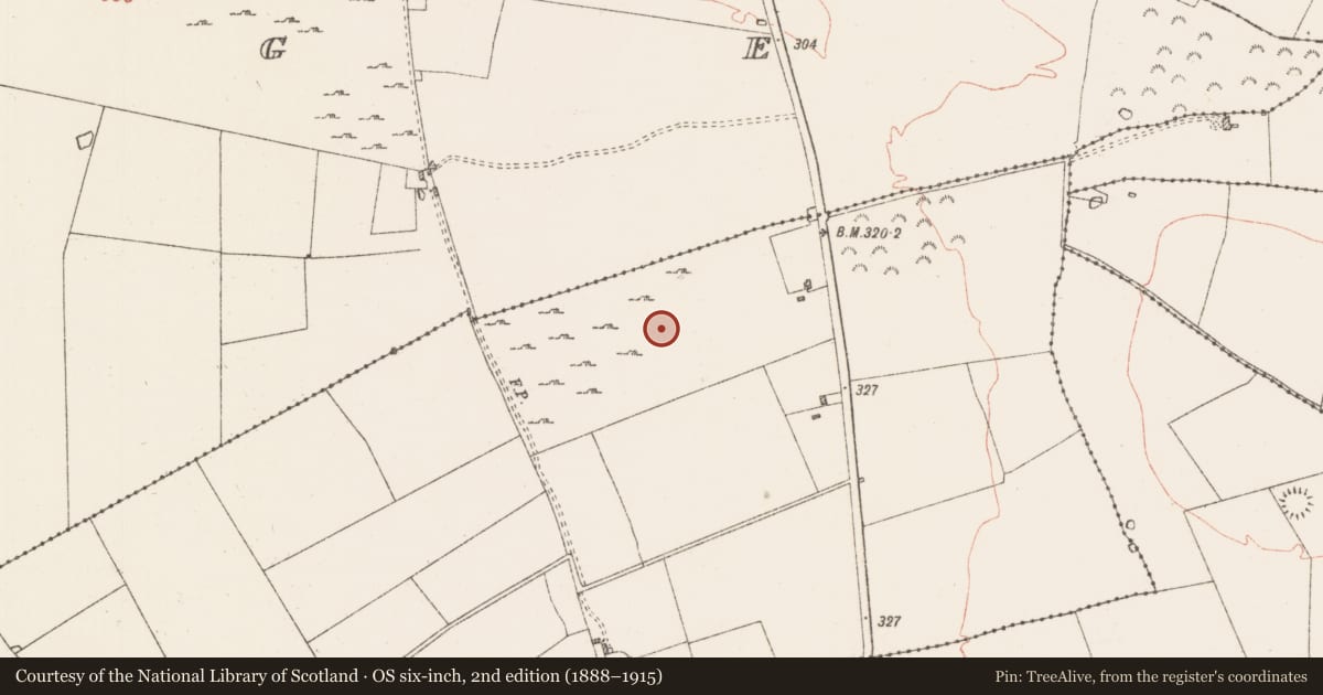Ordnance Survey six-inch map, 2nd edition (1888–1915) covering the location of Settlement cluster, Casheltauna, County Roscommon, with a pin at the register's coordinates