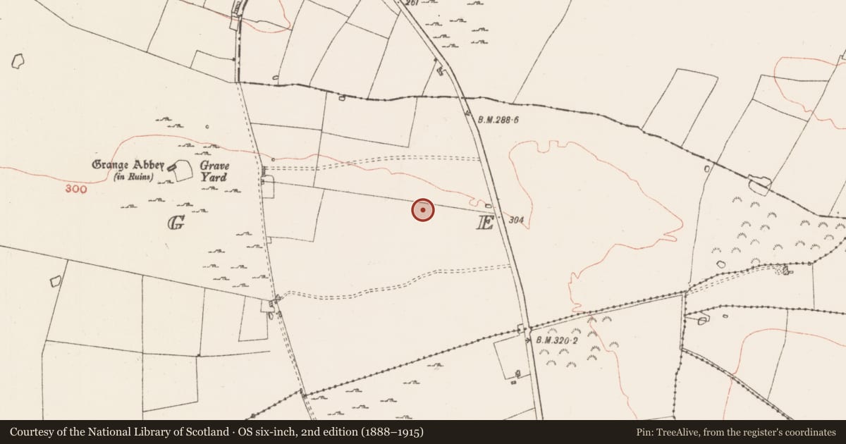 Ordnance Survey six-inch map, 2nd edition (1888–1915) covering the location of Hut site, Grange, County Roscommon, with a pin at the register's coordinates