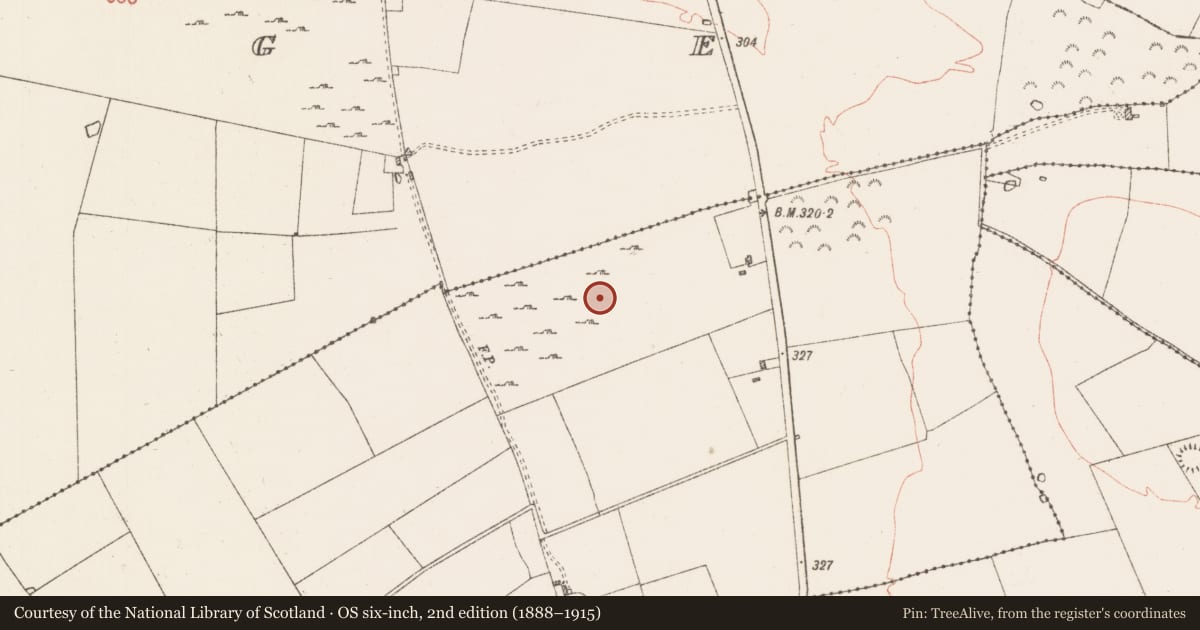Ordnance Survey six-inch map, 2nd edition (1888–1915) covering the location of House - indeterminate date, Casheltauna, County Roscommon, with a pin at the register's coordinates