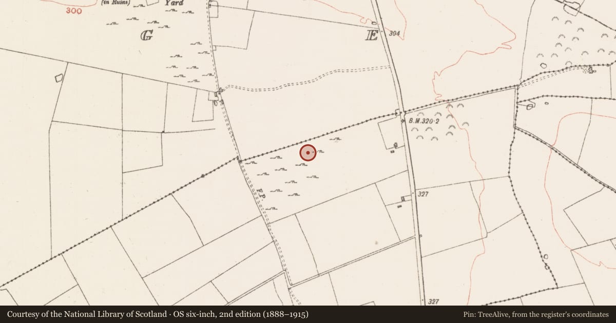 Ordnance Survey six-inch map, 2nd edition (1888–1915) covering the location of House - indeterminate date, Casheltauna, County Roscommon, with a pin at the register's coordinates