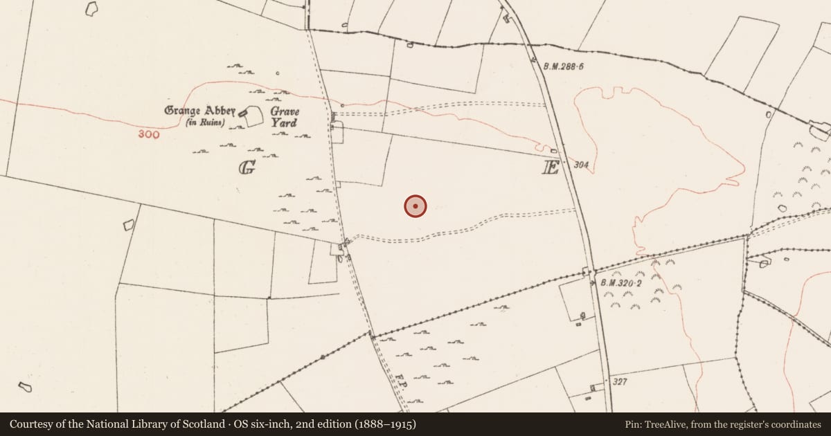 Ordnance Survey six-inch map, 2nd edition (1888–1915) covering the location of House - indeterminate date, Grange, County Roscommon, with a pin at the register's coordinates