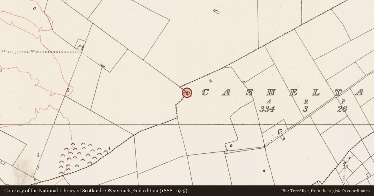 Ordnance Survey six-inch map, 2nd edition (1888–1915) covering the location of Barrow - ring-barrow, Casheltauna, County Roscommon, with a pin at the register's coordinates