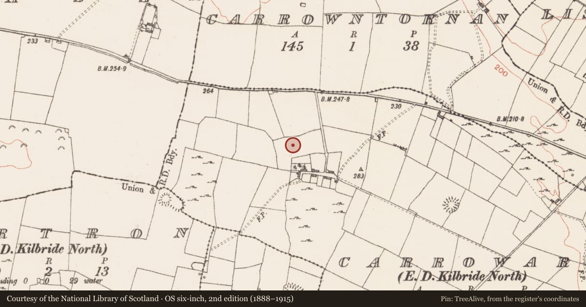 Ordnance Survey six-inch map, 2nd edition (1888–1915) covering the location of Ringfort - rath, Carroward, County Roscommon, with a pin at the register's coordinates