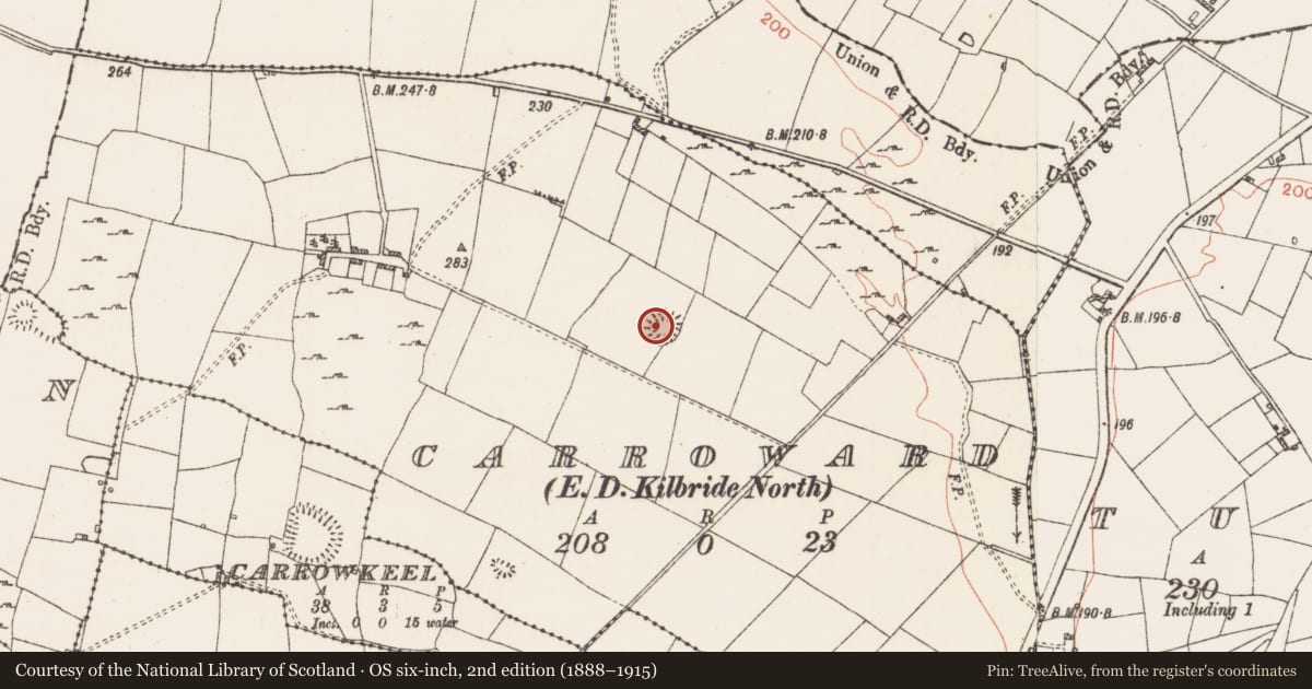 Ordnance Survey six-inch map, 2nd edition (1888–1915) covering the location of Ringfort - rath, Carroward, County Roscommon, with a pin at the register's coordinates