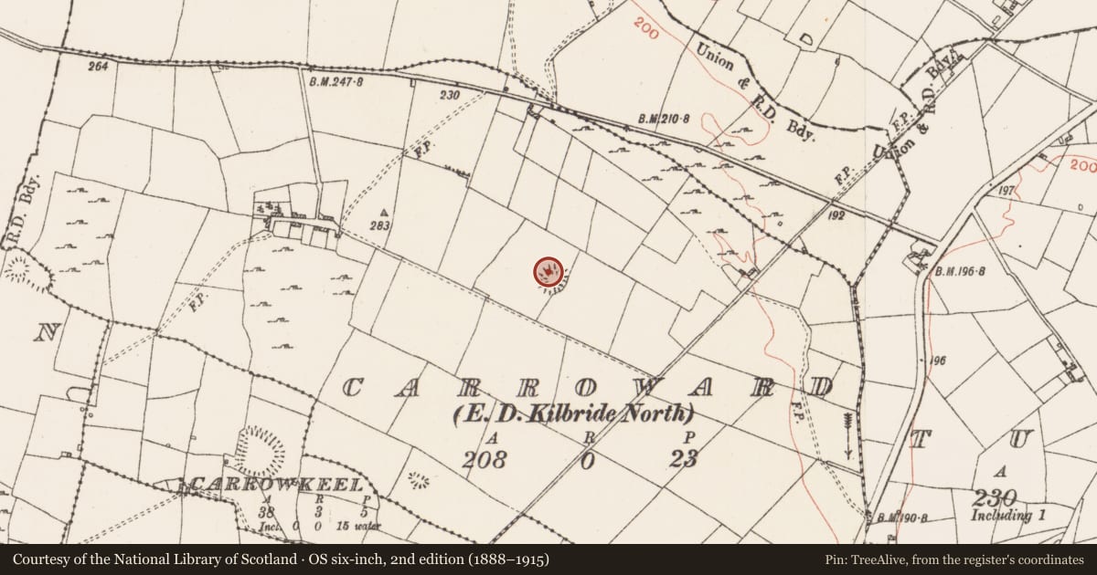 Ordnance Survey six-inch map, 2nd edition (1888–1915) covering the location of Souterrain, Carroward, County Roscommon, with a pin at the register's coordinates