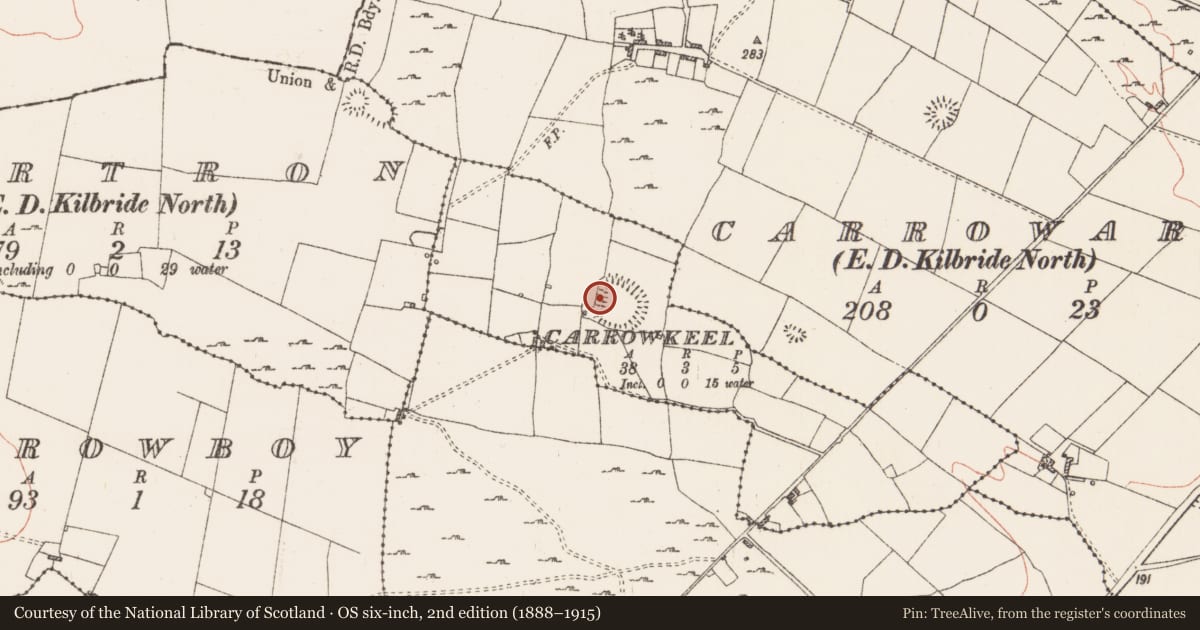 Ordnance Survey six-inch map, 2nd edition (1888–1915) covering the location of Souterrain, Carrowkeel, County Roscommon, with a pin at the register's coordinates
